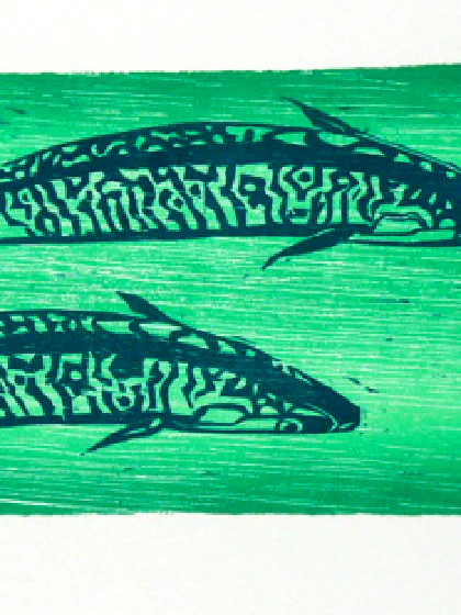 Green Mackerel