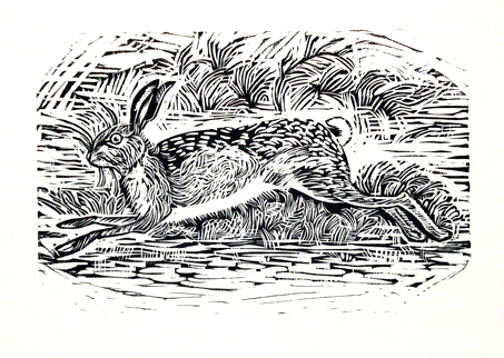 Running Hare