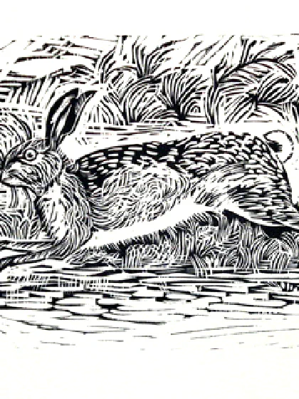 Running Hare
